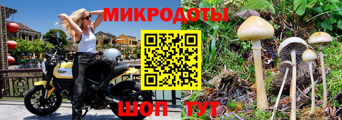 Кириши  Псилоцибиновые грибы GOLDEN TEACHER  Галлюциногенные грибы MAGIC MUSHROOMS  Вход с VPN 